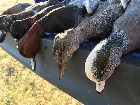 North Texas Waterfowl Hunting Guide near Lake Texoma