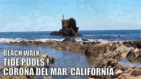 🌊 ⛵ 🏖 🎵 My Favorite TIDE POOLS at Little Corona del Mar Beach ...