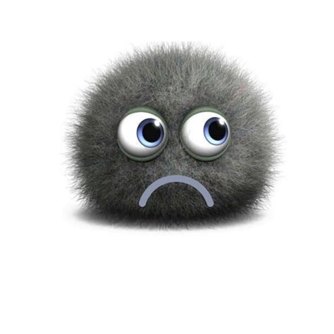 Air Purifiers For Mold and Mildew Removal – Smart Air