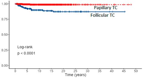 Thyroid Cancer Survival Rate