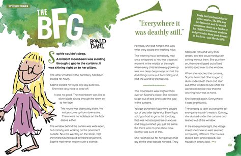 The Bfg Book