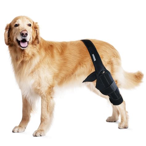 Buy MerryMilo Dog Knee Brace For Support With Cruciate Ligament Injury ...