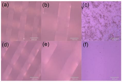 The Application of Polycaprolactone Scaffolds with Poly(ε-caprolactone ...