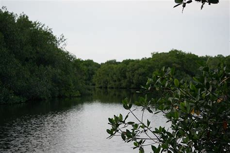 Teen Beating, Gun Arrest at Naples Mall - Naples Florida Life