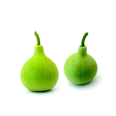 F1 Bulb Type (Latu) Bottle gourd – GardenGuru