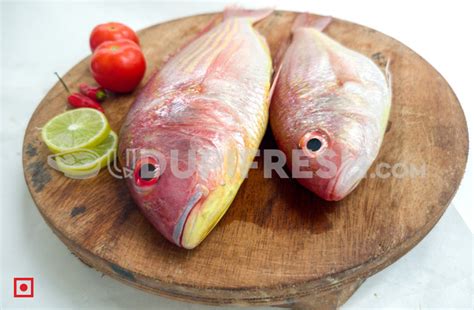 Rani, Pink Perch Fish ,1 Kg – UDUPI FRESH
