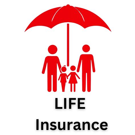 SLN Groups - Insurance, Loans, BPO, Pest Control & Business Solutions ...