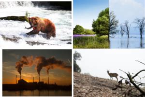 Know about the predicted El Niño Effects on Earth in 2024: