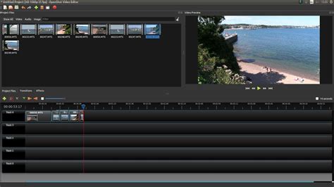 OpenShot Examples 的图像结果