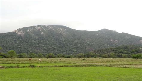 Ritigala Forest Monastery: Ancient Ruins In Sri Lanka