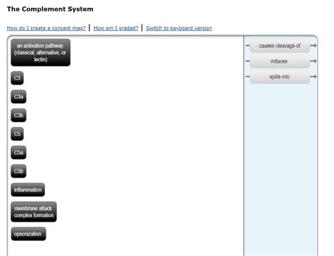 Image result for The Complement System Concept Map