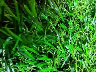 Buy Handtex Home Rectangular Artificial Polyester Grass Doormat (Green ...