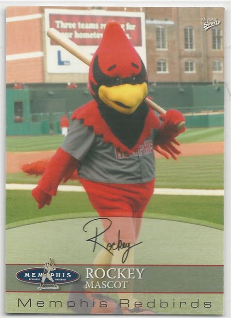 Card No. 35 for 2008 Multi-Ad Memphis Redbirds