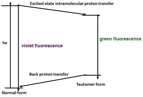Modelling the Encapsulation of 3-Hydroxyflavone with Cyclodextrin and ...