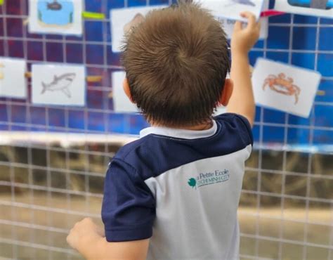 Image result for Factors Influencing Language Development