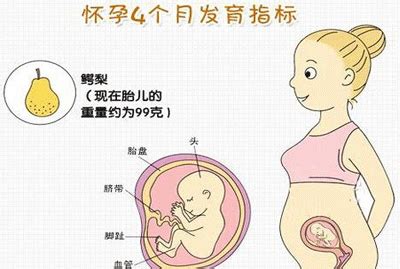 孕媽須知：懷孕17周肚子有多大 - 每日頭條