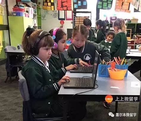澳洲小学网课多少钱？澳洲小学课表什么样？全面拆解澳洲小学收费 - 知乎