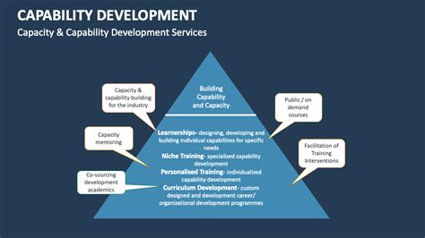 Image result for Capability Programmes