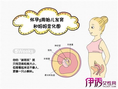 怀孕一到十个月完整图_怀孕肚子逐渐变化图_微信公众号文章