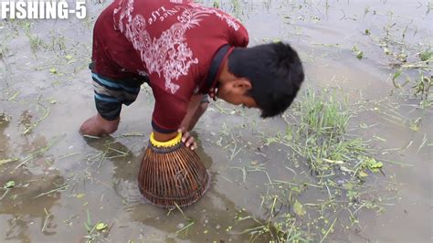 Image result for Primitive Catching Bird