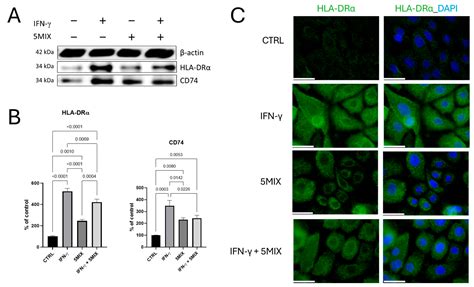 Keratinocyte-Mediated Antigen Presentation in Psoriasis: Preliminary ...