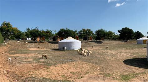 TANYOLI MUI DINH (Ninh Hai District) - Campground Reviews & Photos ...