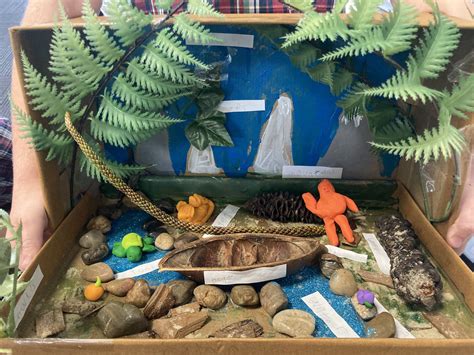 Rainforest Habitat - Shoebox Diorama Rainforest Habitat, Shoe Box ...