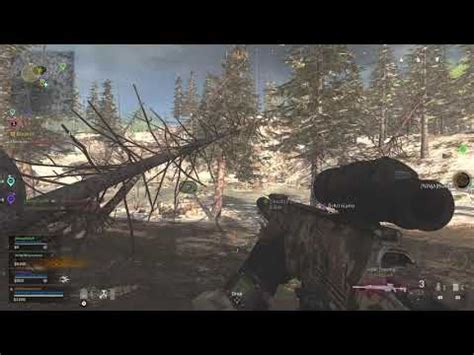 TreeFitty 的图像结果