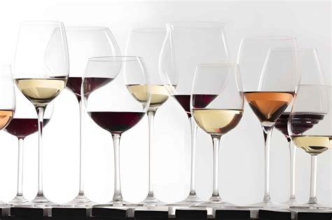 11 Common Types of Wine Glasses (Choose the Best Wine Glass)