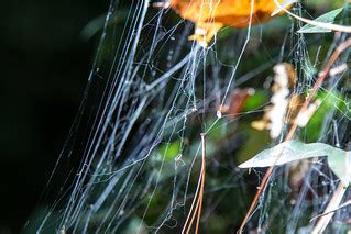 Image result for Databricks for SQL