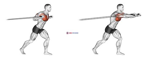 Band Standing Chest Press (male) - Home Gym Review