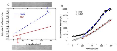 Ovarian Cancer Cell Adhesion/Migration Dynamics on Micro-Structured ...