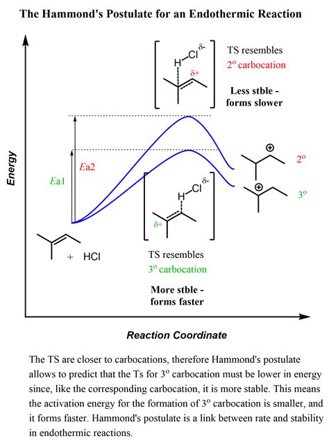 The Hammond Postulate Describes The Relationship Between The Energy