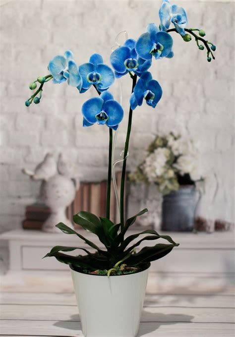 Image result for 3D Polymer Clay Flower Tutorials