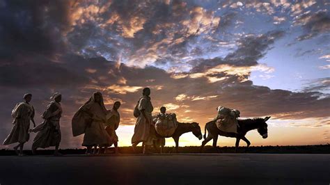 Donkey: गधा कब आया आपके जीवन में... पहली बार वैज्ञानिकों ने बनाई इनकी ...