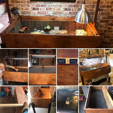 Image result for Tortoise Table