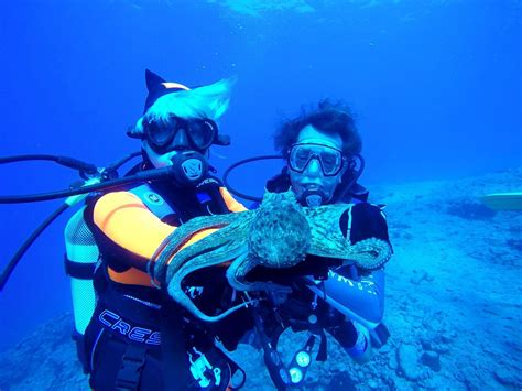 PORTO HELI SCUBA CLUB (2026) All You Need to Know BEFORE You Go (with ...