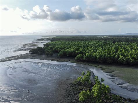 Guliyakhali Beach 2