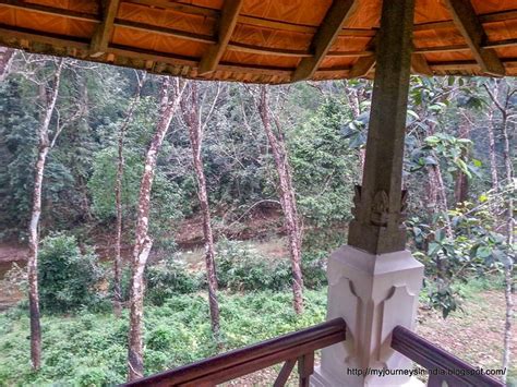 DUKE`S FOREST LODGE (Ponmudi, Kerala) - Campground Reviews & Photos ...