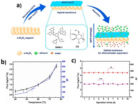 Ongoing Progress on Pervaporation Membranes for Ethanol Separation