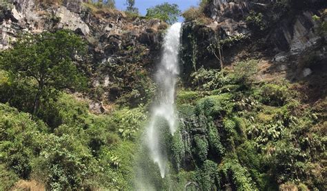 RINDANG GLAMPING (Batu) - Resort Reviews, Photos, Rate Comparison ...