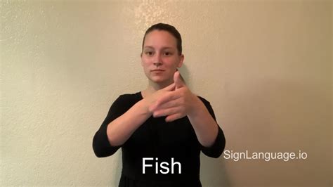 Image result for Sign Language Fish