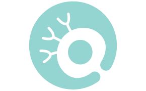 Increase Productivity of your mAb Processes