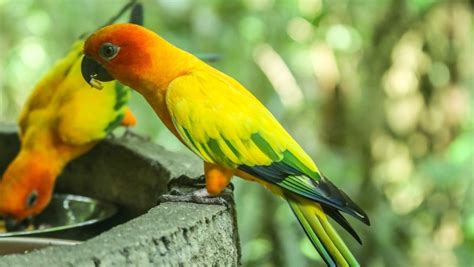 Places to Visit in Pelling | Mount Hotels | Premium Hotels, Resorts ...