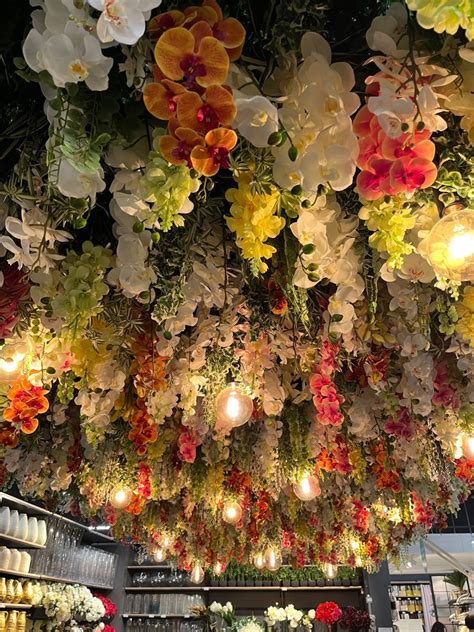 Flower Shop Ceiling Layout 的图像结果