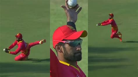 [Watch] Sikandar Raza takes a stunning running-behind catch in 2023 ...