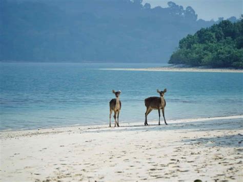 tempat wisata ujung berung
