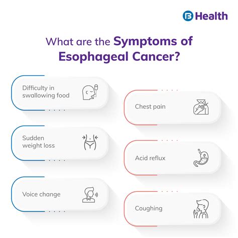 Esophageal Cancer: Symptoms, Causes, Treatment and Therapy
