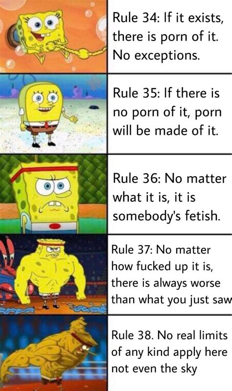 This is factual | Rule 34 | Stupid funny memes, Funny spongebob memes ...
