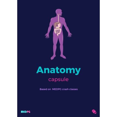 Anatomy Capsule Handwritten Notes 2020 by MED PG